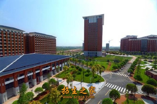 报考非艺术