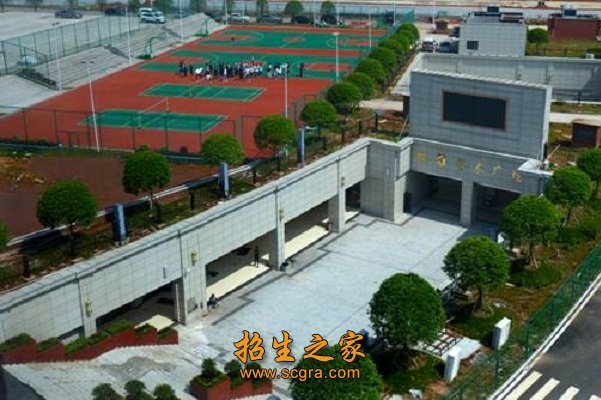 美术专业文化最低控制分数线以上