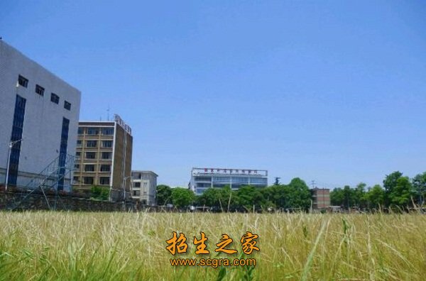 同题参见2007年10月