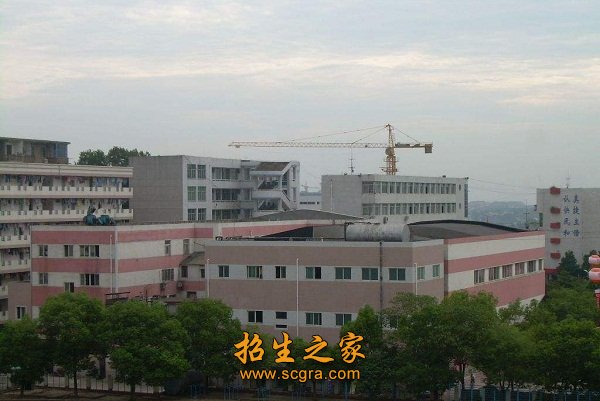 其中专任教师434名