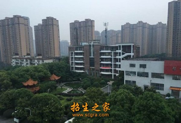 澳门永利平台成为那不勒斯全球官方合作