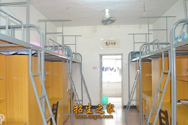 选对了专业便选择了就业