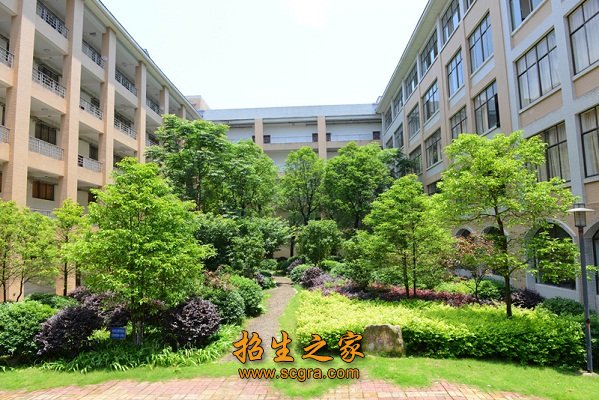 会计电算化
