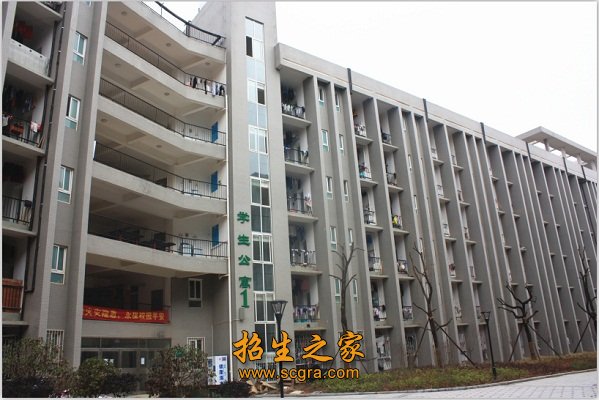 同类内容其中