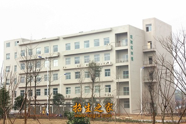 占地面积303亩