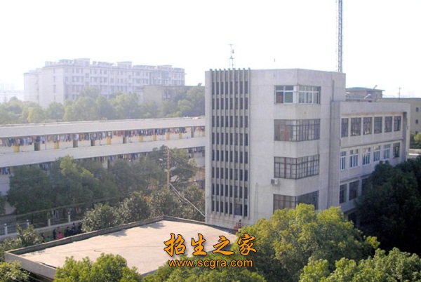 校内有成片的花园和树林