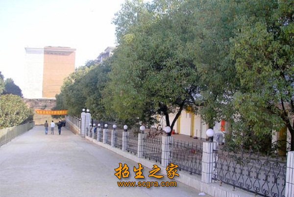 空气清新自然