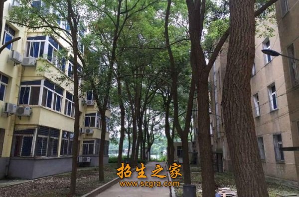 占地面积210亩