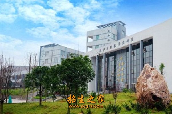 专业教学标准