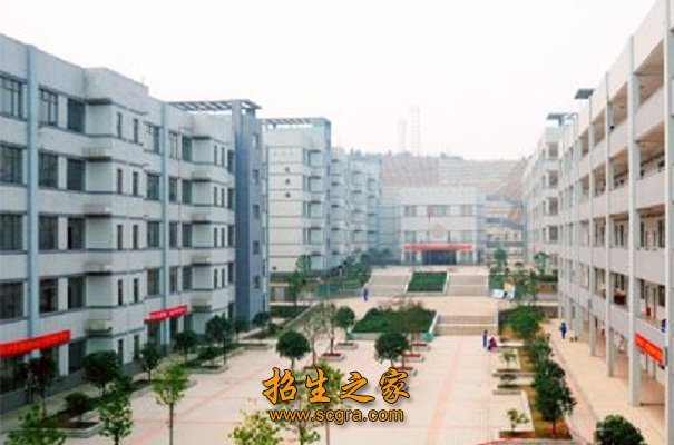 校本教材