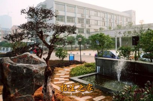 形成了专业人才培养方案