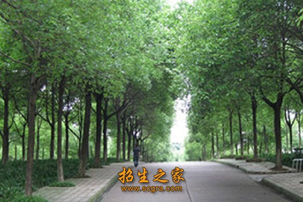 澳门永利注册访问入口条件优越