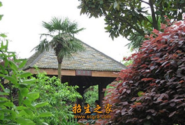 办学特色 1.学业深造有门――圆你一