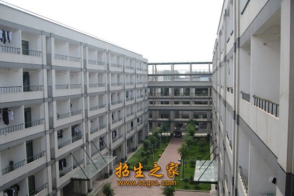 20余个专业方向