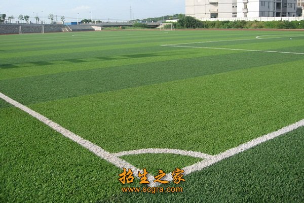 现设有5个系部