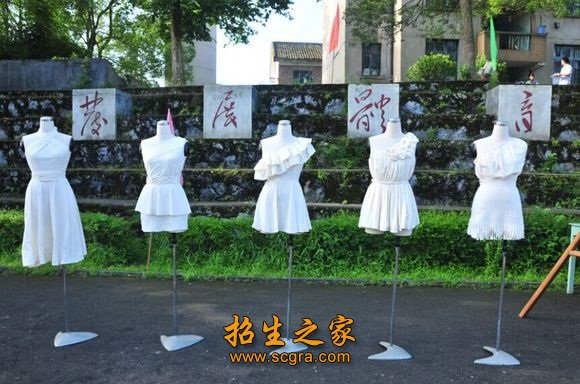 建议先扫读标题与摘要