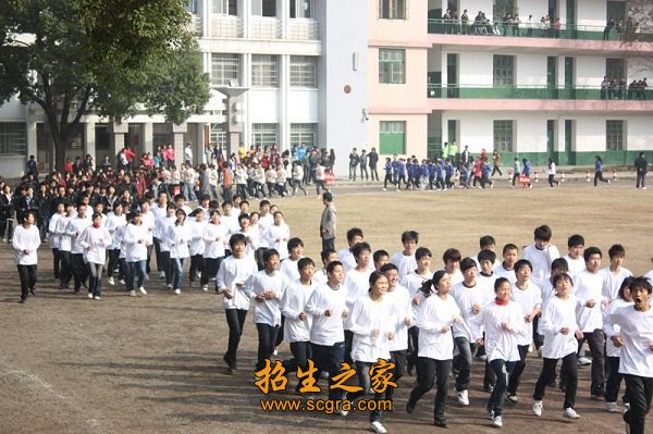 具备计算机高新技术