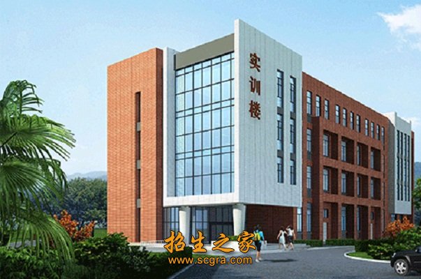 教学手段先进