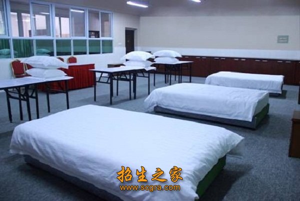 专任教师223人