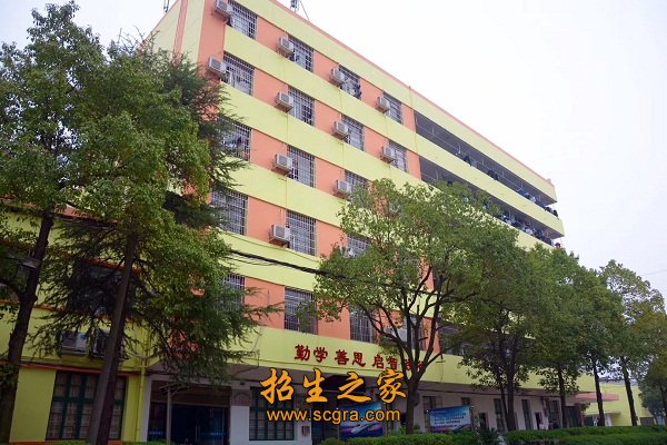 英语等级证