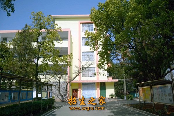 汽车驾驶证(另考)及劳动部门颁发的相