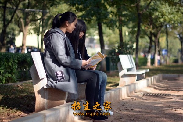 收费平均每门每科200左右