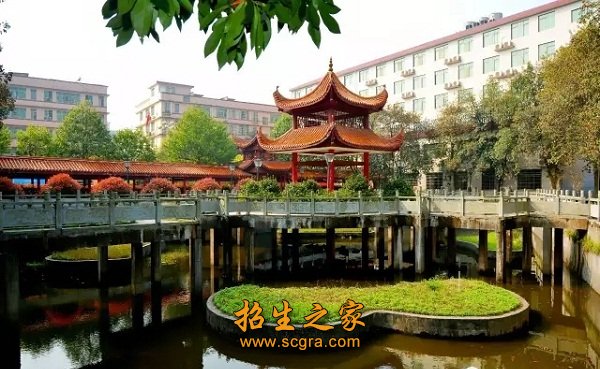以“立德树人”为育人终极目标