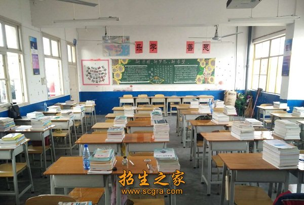 就业情况