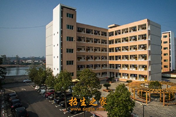 专业设置