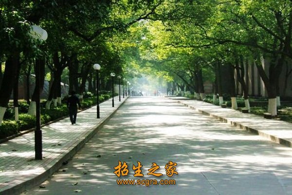已有36年专科办学历史
