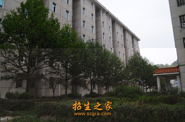 毕业生主要面向星级酒店