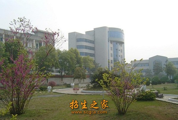 相关阅读两者都保留在站内即可形成完整