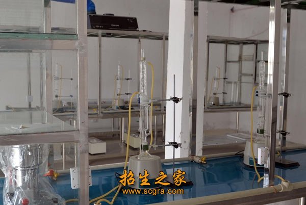 1.报到入学时间