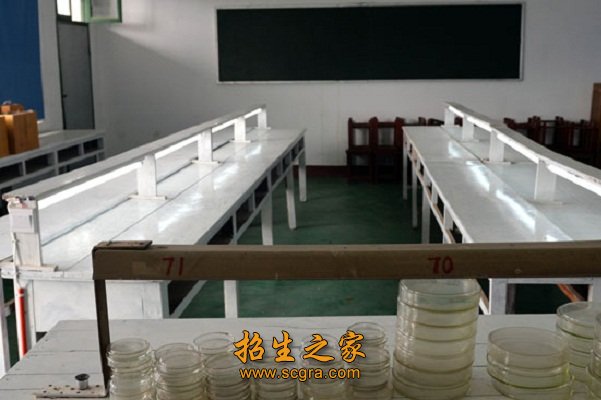 1.新生入校后可自选专业
