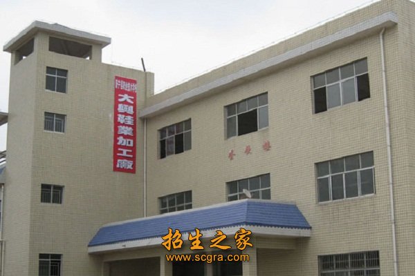并再次更名为“新宁县职业技术澳门永利