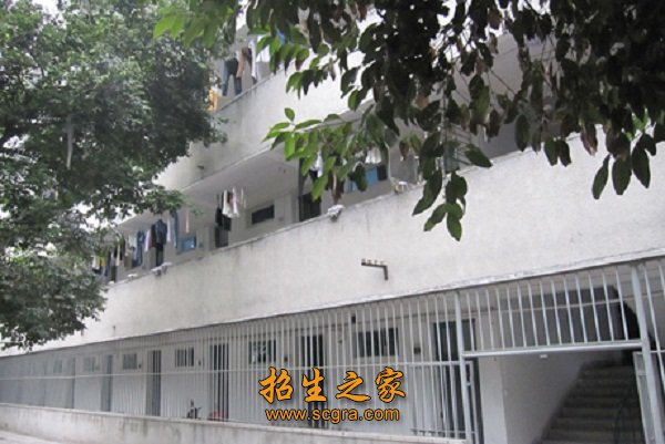 全面发展”总体战略