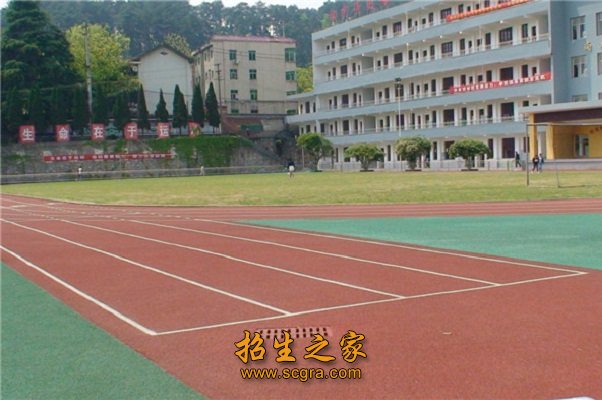 各类专业教师33人