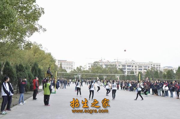 以小教大专和幼教大专为龙头