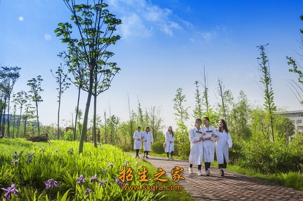 5.党团组织关系介绍信