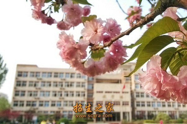 馆藏纸质图书87万册