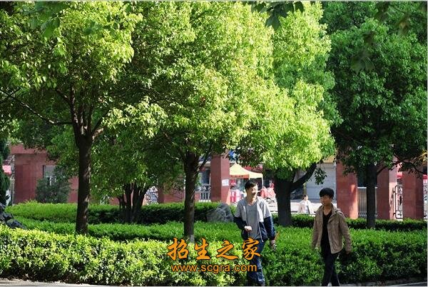 遍及社会各行各业