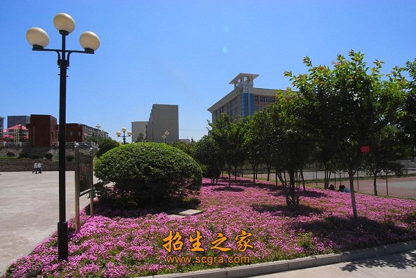大多成为所在行业