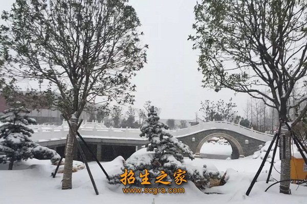 素质优良