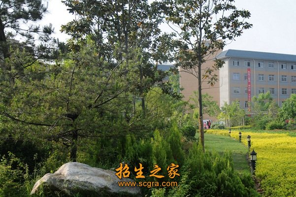 极大地促进了学科专业建设