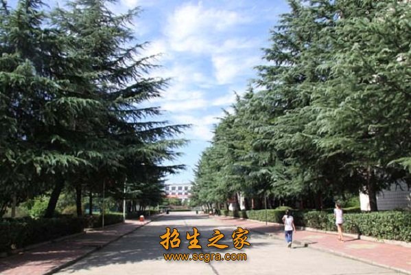 建筑面积264970.14㎡