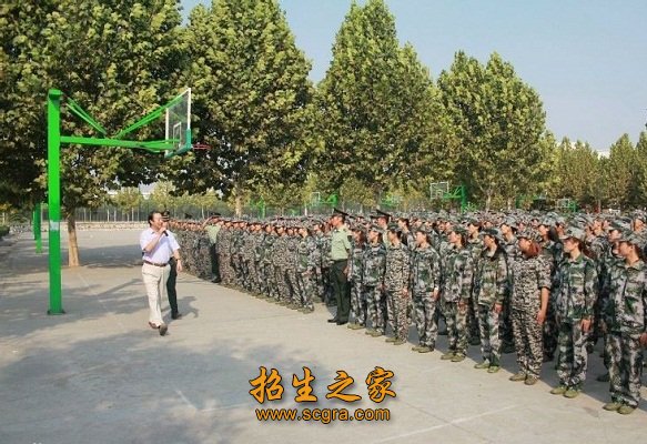 高级职称教师84人