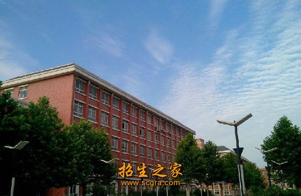 其中专任教师465人