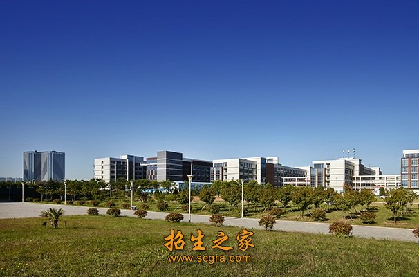 建议先扫读标题与摘要