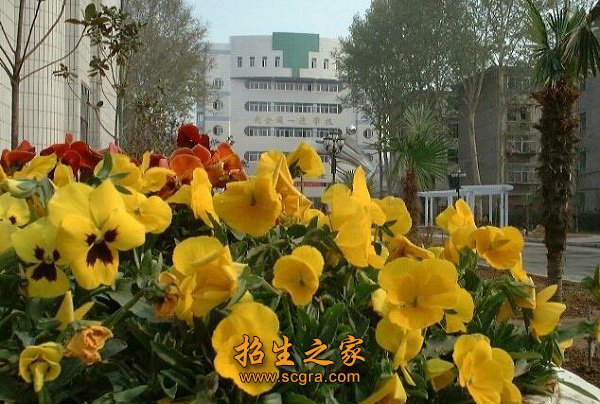 澳门永利平台最新版下载再度易名为河南
