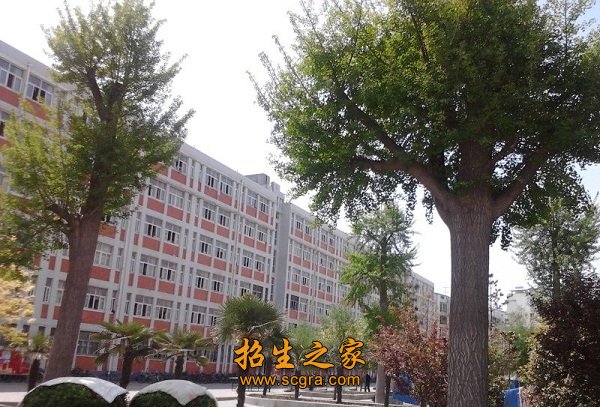 正文适合核对表述
